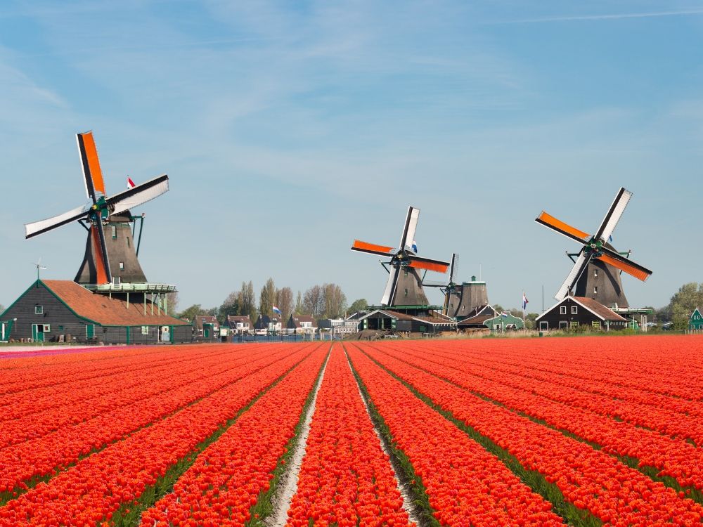 Holandia - to trzeba zobaczyć! Przewodnik po Holandii
