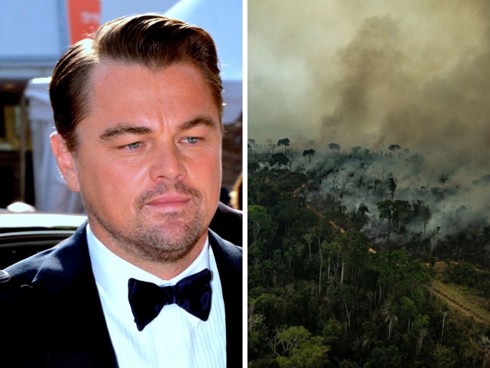 Leonardo DiCaprio przekazał PIĘĆ MILIONÓW DOLARÓW na ratowanie "zielonych płuc planety".