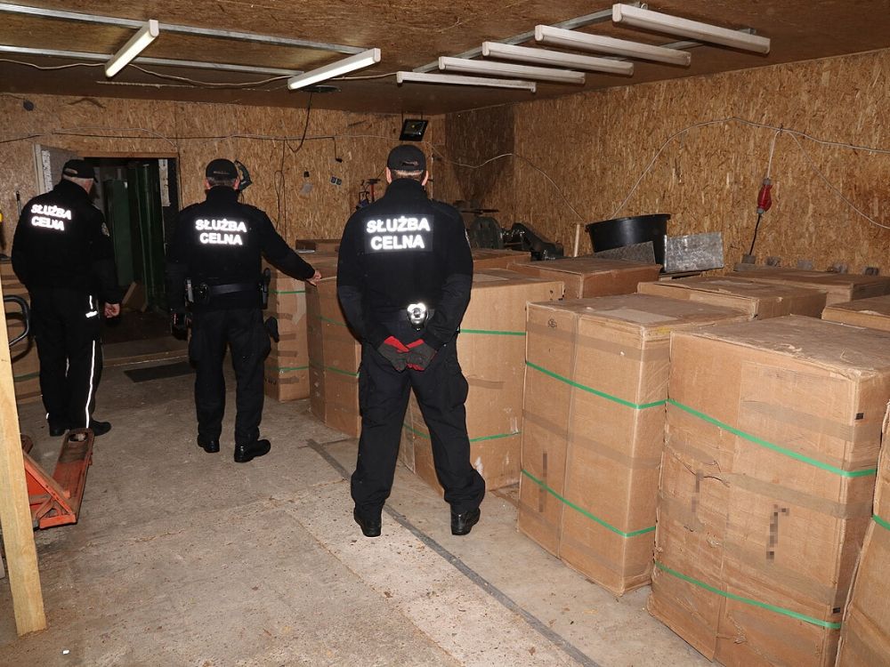 Policja zlikwidowała nielegalną fabrykę tytoniu w Sierpcu