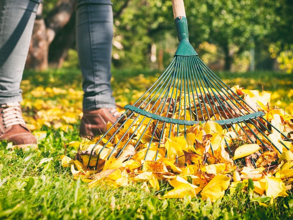 Co potrzebujecie do jesiennych prac w ogrodzie?
