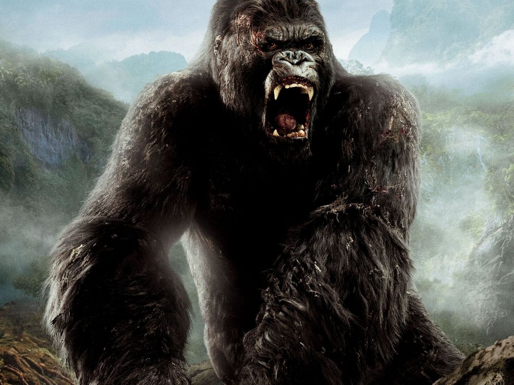 King Kong (2005) online | Obsada, fabuła, zwiastun