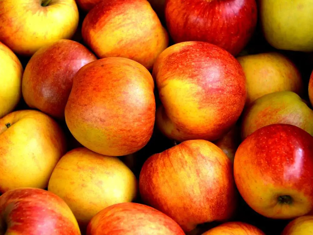 Ile waży jabłko? Wartości odżywcze i kalorie