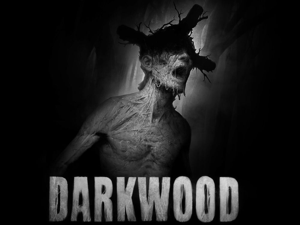Darkwood - wymagania sprzętowe, data premiery i zwiastun