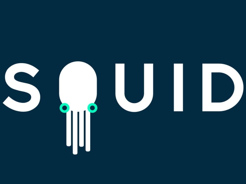Squid – wiadomości i czasopisma