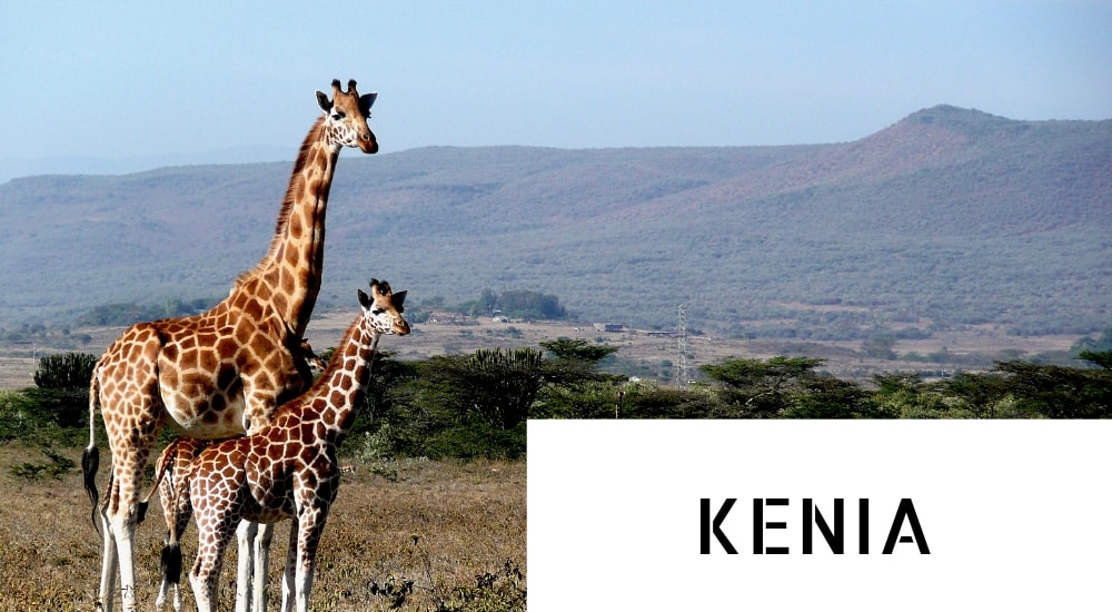 Kenia - kraina niezapomnianych wrażeń