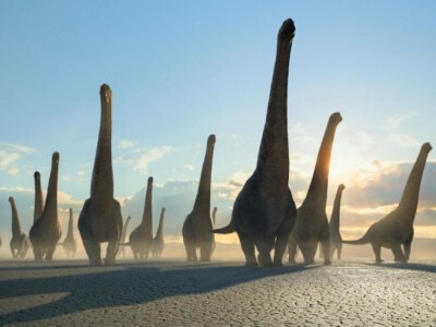 Prehistoryczna planeta - świat z dinozaurami