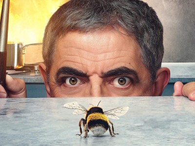 Człowiek kontra pszczoła - kto to wygra?