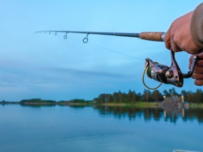 Gry ryby- złów największe ryby w grach online na przeglądarkę na Spokeo.pl