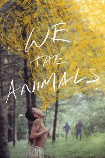 My, zwierzęta