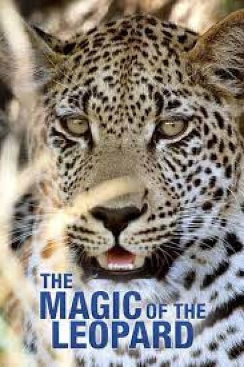 Die Magie des Leoparden
