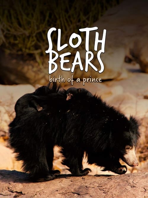 Sloth Bears: Birth of a Prince