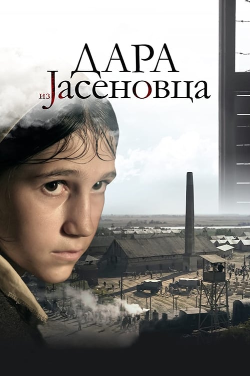 Dara z Jasenovaca